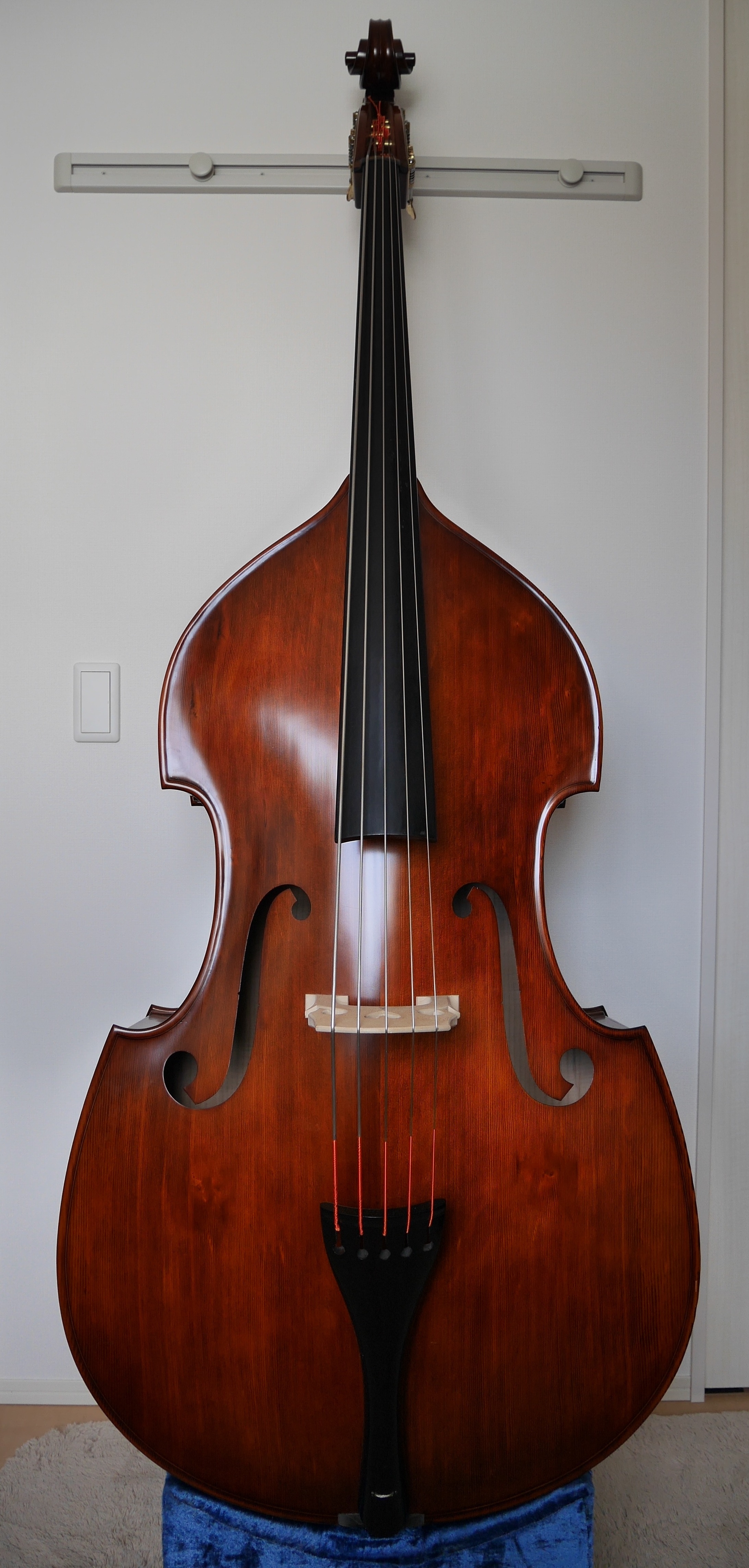 Contrabass コントラバスの写真