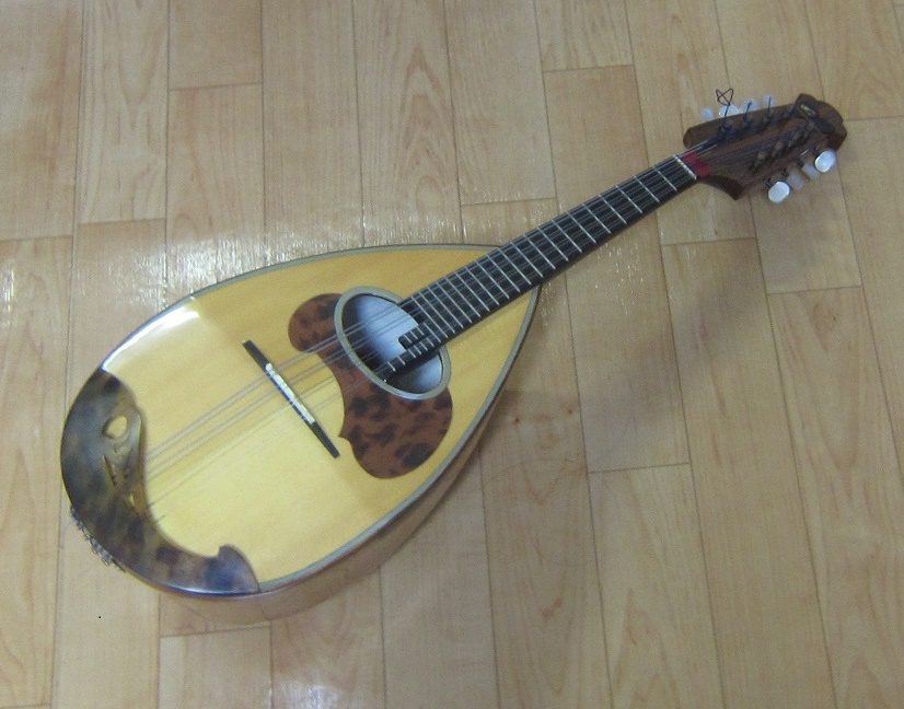 Mandolin マンドリンの写真
